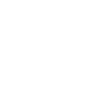 feature-icon