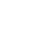 feature-icon