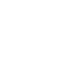 feature-icon