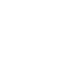 feature-icon