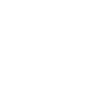 feature-icon