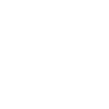 feature-icon