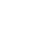 feature-icon