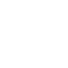 feature-icon