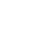 feature-icon