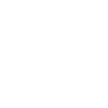 feature-icon