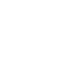 feature-icon