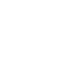 feature-icon