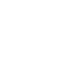 feature-icon