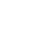 feature-icon
