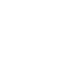 feature-icon